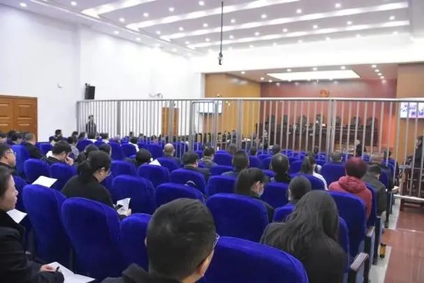 中国·尼日利亚投资贸易洽谈会在盈科律师事务所圆满举行