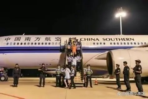 中国日报：盈科律师事务所不仅提供法律业务