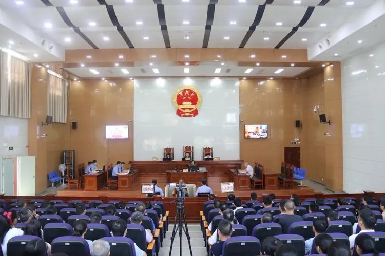 陈会欣：用法律服务助力企业成长